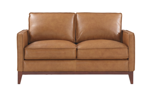 WEEKLY or MONTHLY.  New Port Leather Couch Set